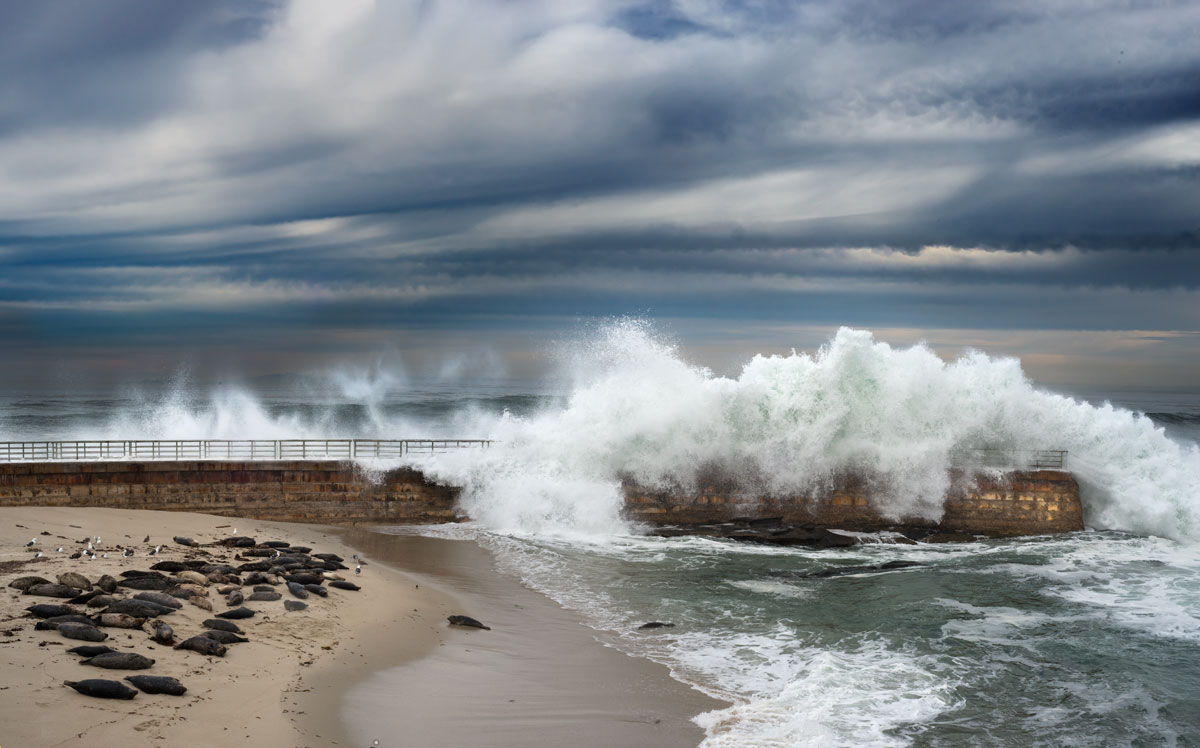 Color photograph of the Children's Pool, San Diego