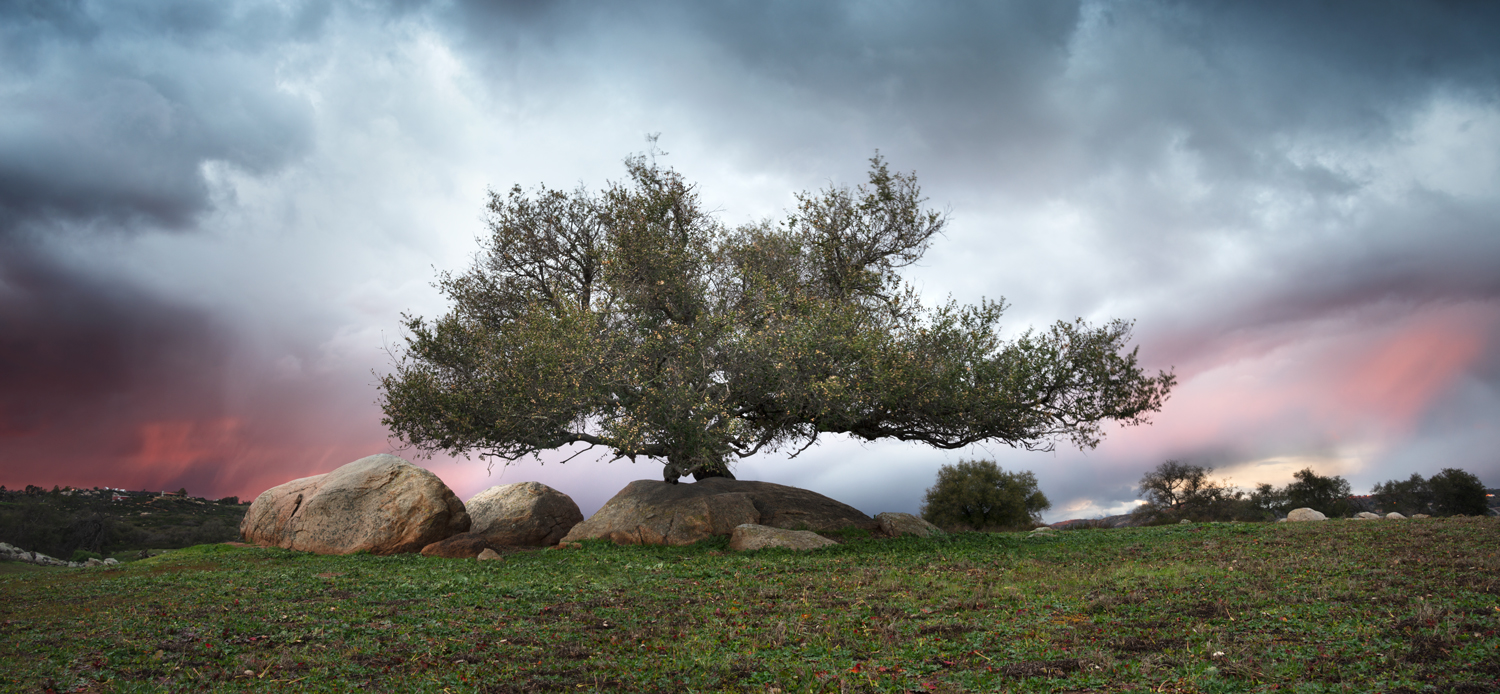 Color photograph of stones in Lake Henshaw, San Diego