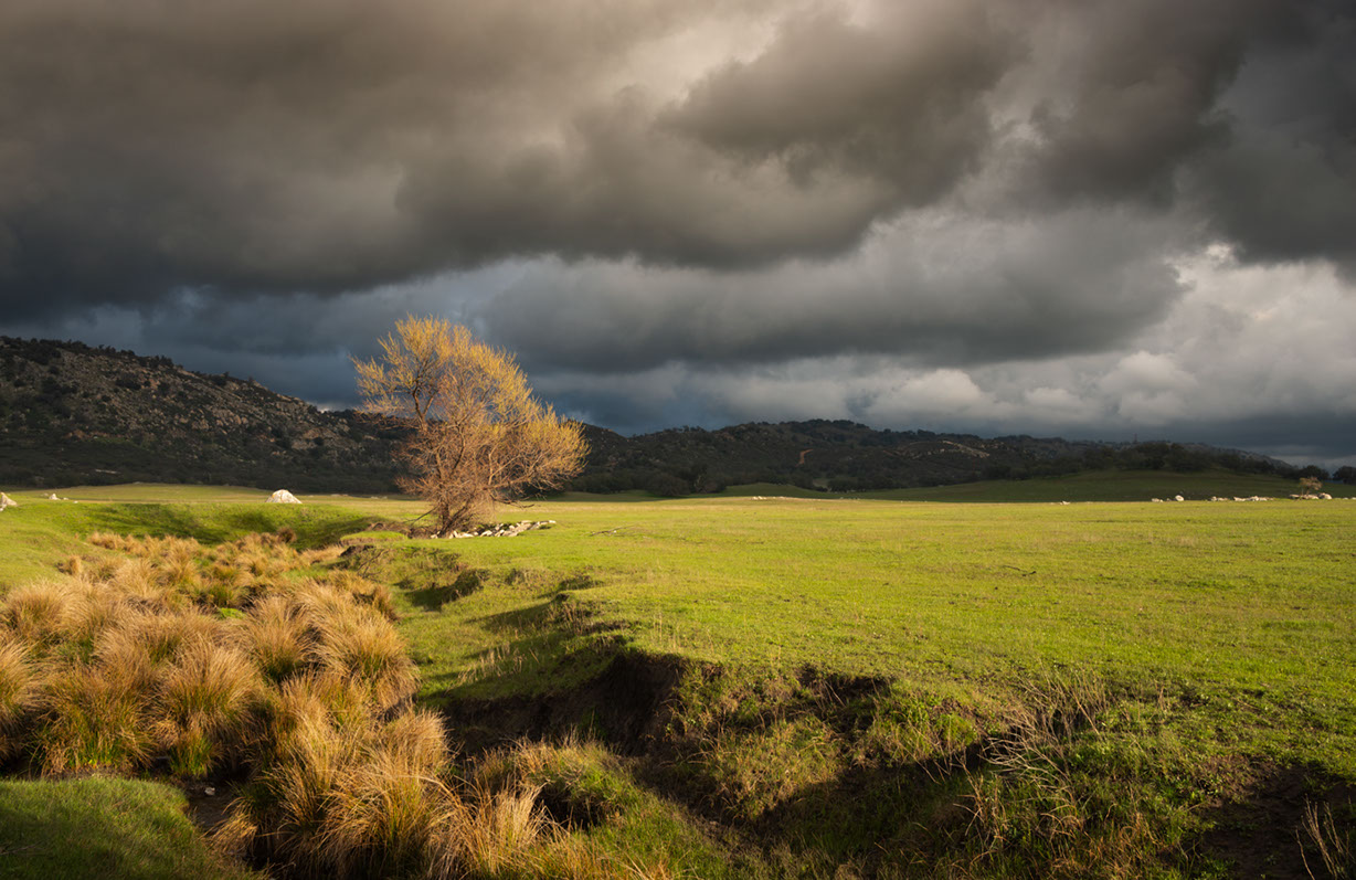 Color photograph of stones in Lake Henshaw, San Diego