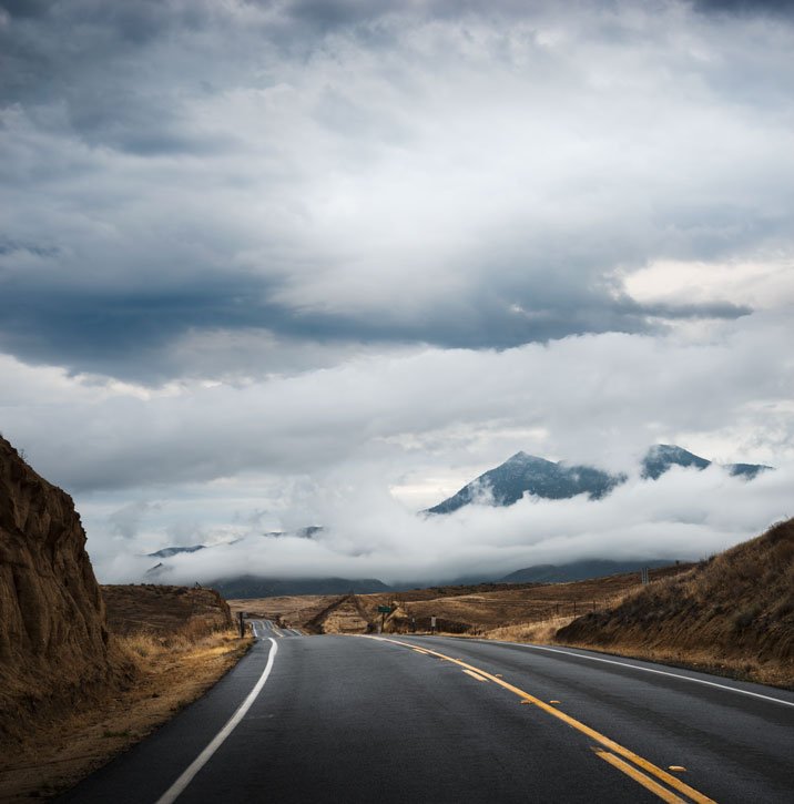 Color photograph of young trees in Lake Henshaw, San Diego