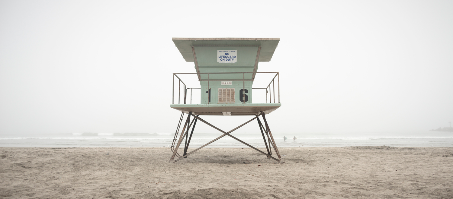 Black and white photo of three cows in Ramona, San Diego