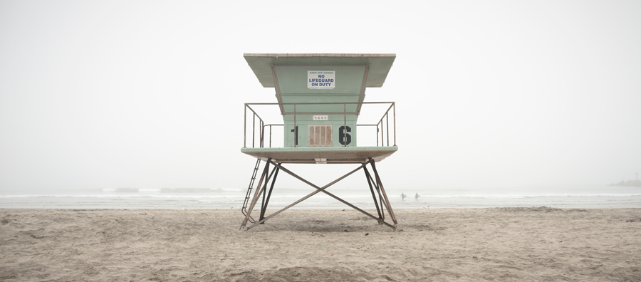 Black and white photo of three cows in Ramona, San Diego