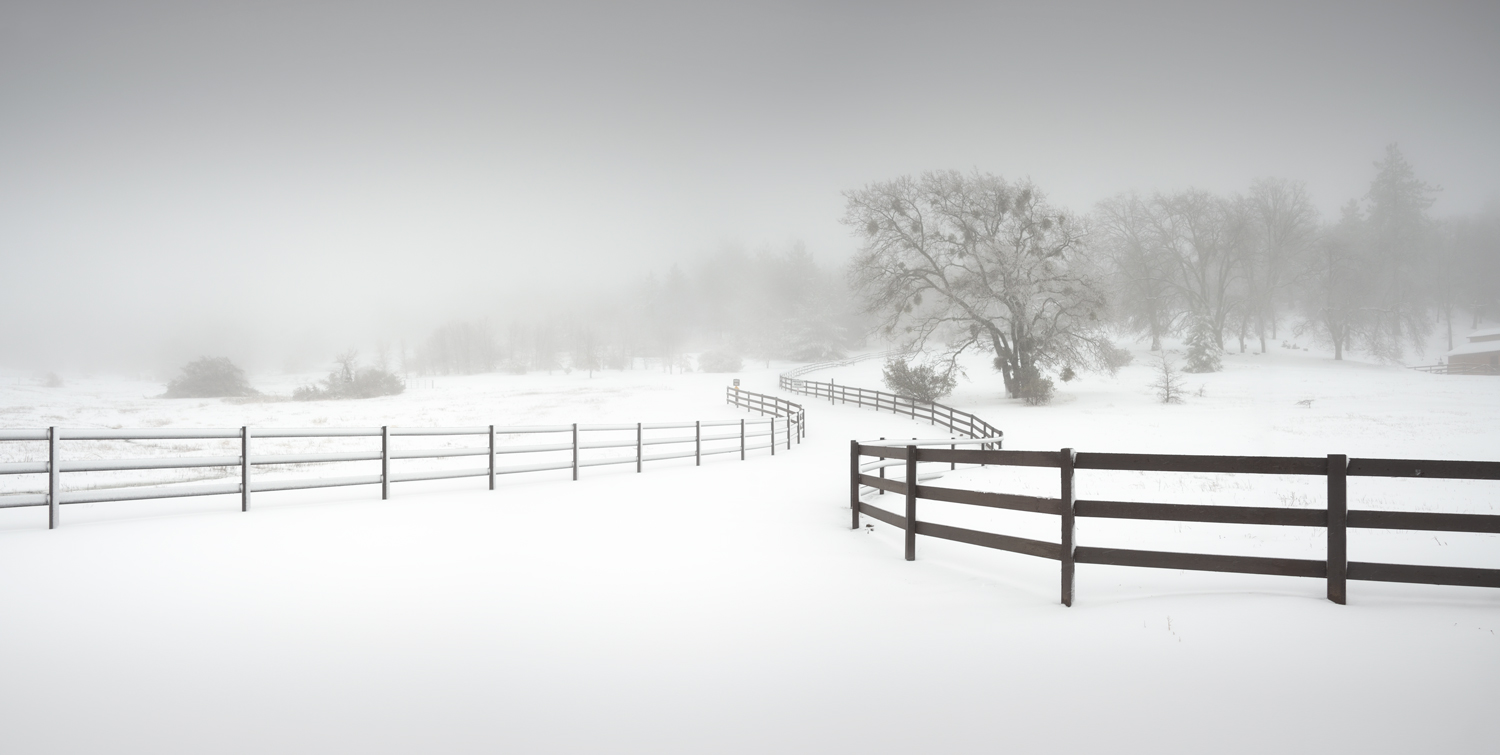 Color photo of boats and the Coronado Bridge in San Diego Bay