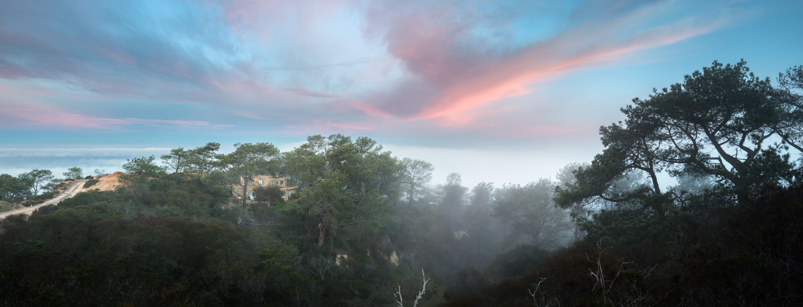 Color photo of foggy hills in Torrey Pines, San Diego