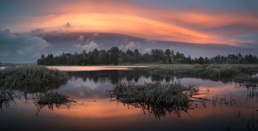 Color photo of boats and the Coronado Bridge in San Diego Bay