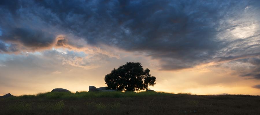 Color photo of boats and the Coronado Bridge in San Diego Bay